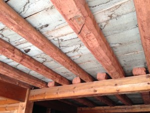 substantial Nixi home